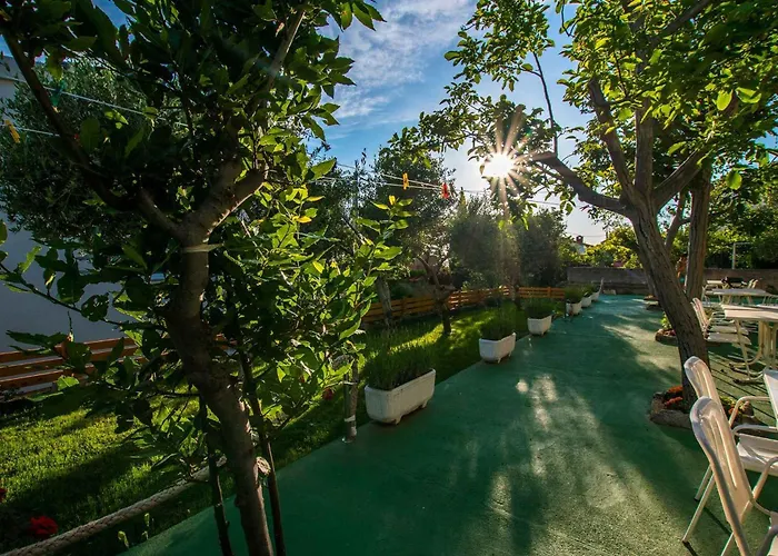 In Starigrad-paklenica 6830 *